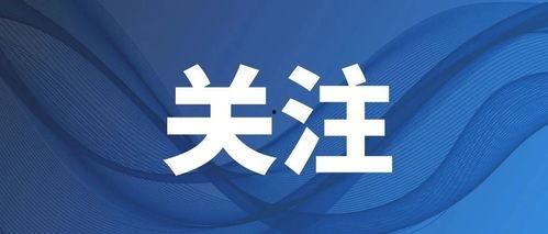 最新动态爆料新闻视频,揭秘新闻视频背后的惊人真相!  第1张 最新动态爆料新闻视频,揭秘新闻视频背后的惊人真相!  第1张